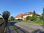 Třibřichy