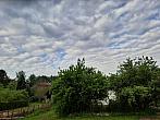 Olešná