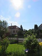 Třibřichy