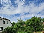 Olešná