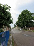 Třibřichy