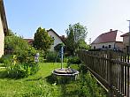Třibřichy