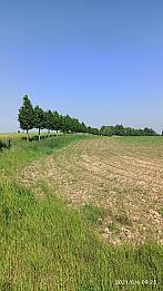 Ostrava-Poruba