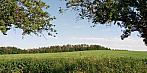 Lukovany