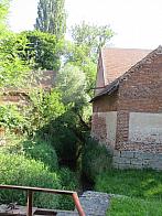 Třibřichy