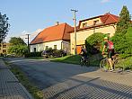 Třibřichy