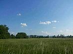 Český Těšín