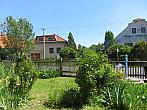 Třibřichy