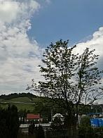 Skalité