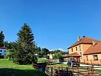 Olešná