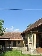 Třibřichy