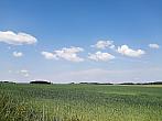 Hostákov