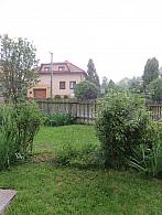 Třibřichy
