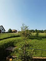 Skalité