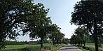 Lukovany
