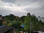 Hořice - Libonice