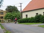 Třibřichy