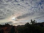 Olešná