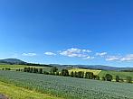 Dolní Branná