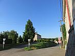 Třibřichy
