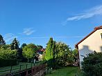 Olešná