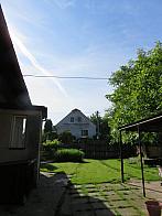 Třibřichy