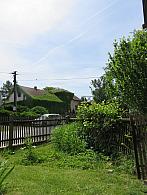 Třibřichy