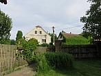 Třibřichy