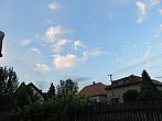 Třibřichy