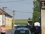 Třibřichy