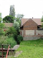 Třibřichy