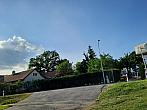 Olešná