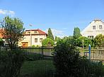 Třibřichy