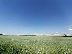 Hostákov