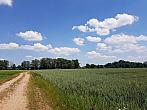 Odrovice