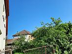 Olešná