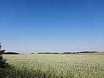 Hostákov