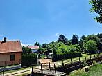 Olešná