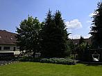 Chrustenice