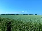 Císařov