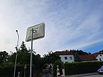 Olešná