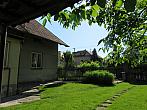 Třibřichy