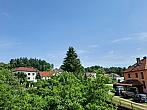 Olešná