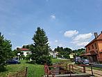 Olešná