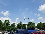 Jihlava