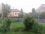 Třibřichy