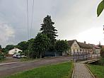 Třibřichy