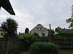 Třibřichy