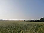Hostákov