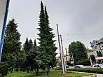Jihlava
